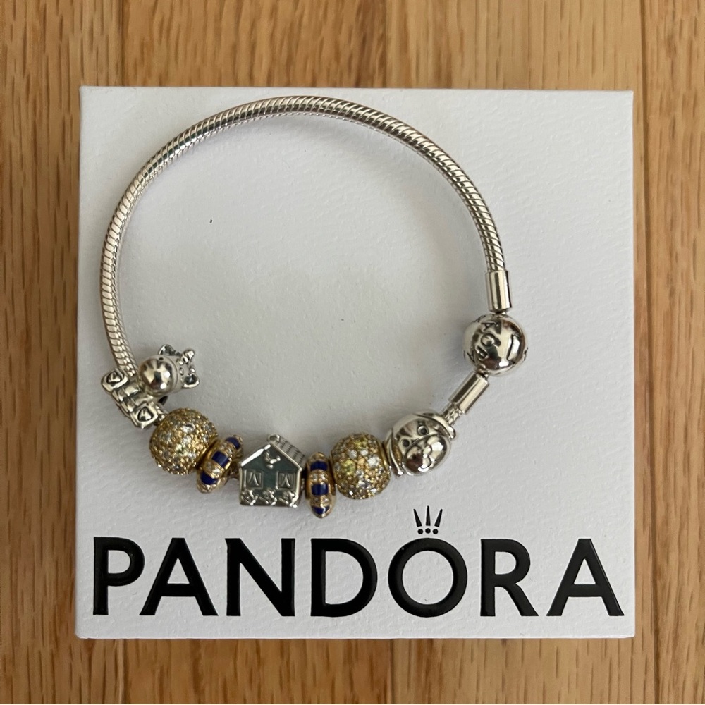 NEW Pandora Charm Bracelet